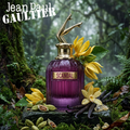 Jean Paul Gaultier Scandal Intense — Decant Original